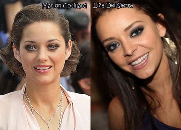 female_celebrities_and_their_doppelgangers_13