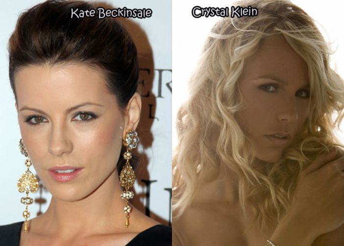 female_celebrities_and_their_doppelgangers_24