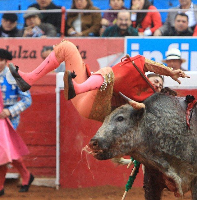 gored_bullfighter_04